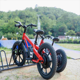 Electric Kids Bike